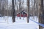Tubing Network Maple Grove Maple Grove landscape with red sugar shack, tubing 3/16 and mains