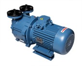 Pompe Travaini vacuum anneau liquide TRMB-40, TRMB-40 Travaini , vacuum sirop érable, érablière par LS Bilodeau