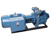 Pompe Travaini vacuum anneau liquide TRVB-40-150, TRVB-40-150 Travaini , vacuum sirop érable, érablière par LS Bilodeau