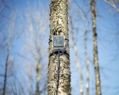 magika installation bois face 